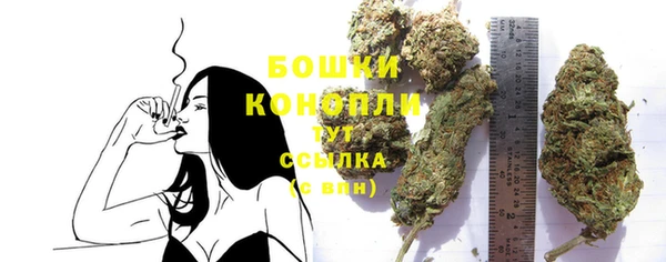 дмт Белокуриха