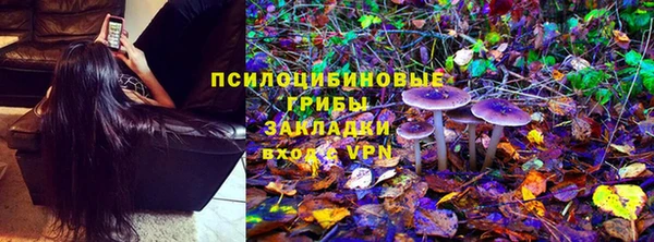 дмт Белокуриха