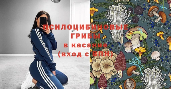 бошки Беломорск