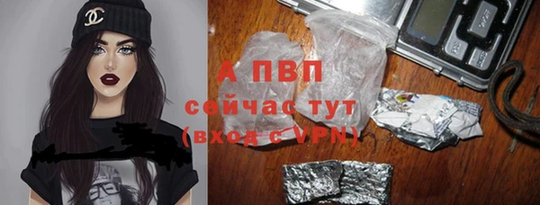 дмт Белокуриха
