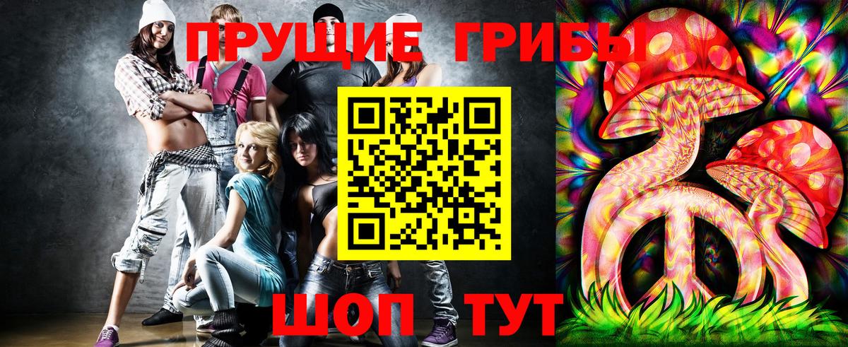 Галлюциногенные грибы Cubensis Свободный