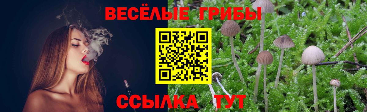 Псилоцибиновые грибы прущие грибы  Псилоцибиновые грибы мухоморы  Свободный  Вход с VPN 
